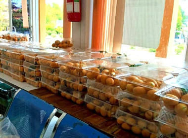 พลังเครือข่ายสหกรณ์ยโสธรเชื่อมโยงกระจาย "มะยงชิด" ... Image 3